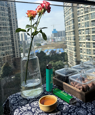 Yuoto New Disposable Vape Pen , 9ml 3500 Puffs Electronic Cigarette