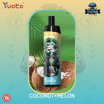 Fruit Flavor 5000 puff Disposable Vape E Cigarettes Mesh Coil Rechargeable