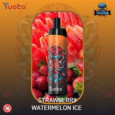 Fruit Flavor 5000 puff Disposable Vape E Cigarettes Mesh Coil Rechargeable