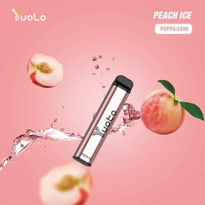 OEM 2500 Puffs Disposable Vapes CE ROHS Smoking Accessories 7ml Ejuice 1200mAh Battery Mint Ice