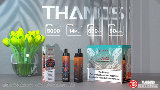 Mesh Coil Rechargeable E Cigarette , Yuoto Thanos 5000 Puffs 14ML 650mAh With Type C