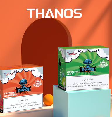 Thanos 5000 puffs 14mL 650mAh Rechargeable Disposable Vape Pen Shenzhen E Cigarette