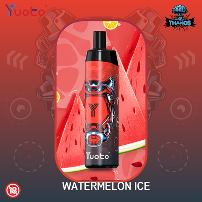 14ml Prefilled Mesh Coil Disposable Vape With Gorgeous Skin OEM Available