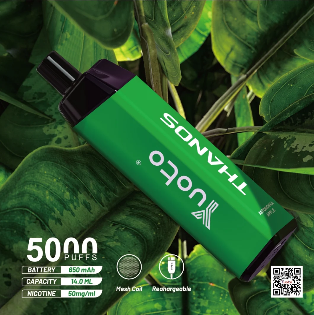 2022 Vape Pen Wholesale Disposable Original Pen Pod Yuoto Thanos 5000 Puffs Vape Juice Electronic Cigarettesc Shisha Electronic Hookah