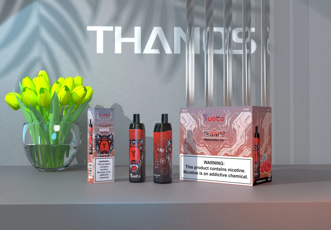New Popular Yuoto Thanos 5000 Puffs 14ml E-Juice 650mAh Mesh Coil with Type C Pod Kit Disposable Vape